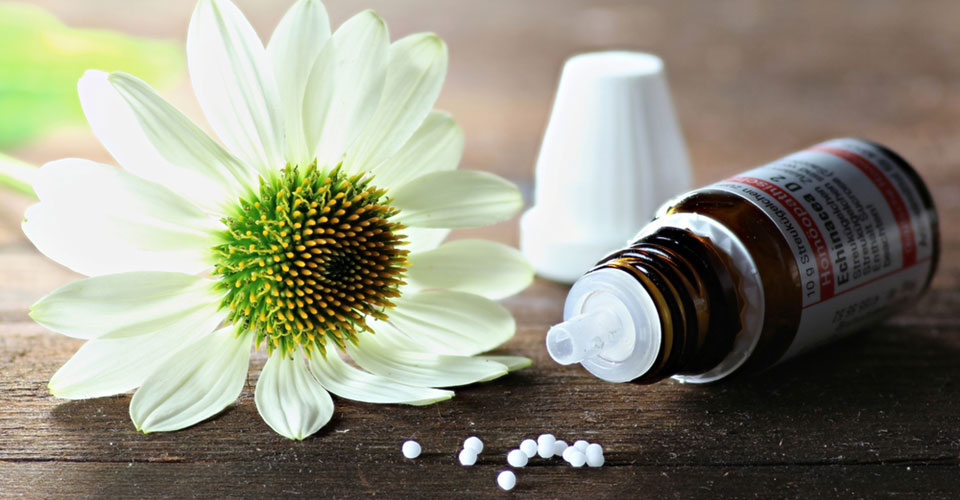 Homeopathic Pills Echinacea